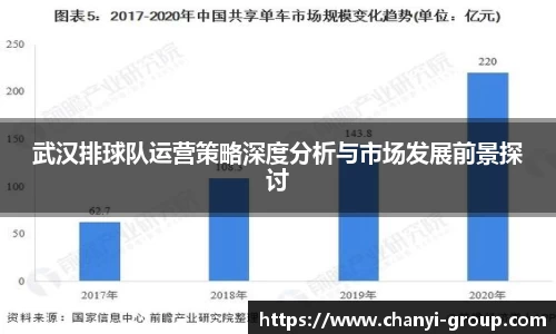武汉排球队运营策略深度分析与市场发展前景探讨